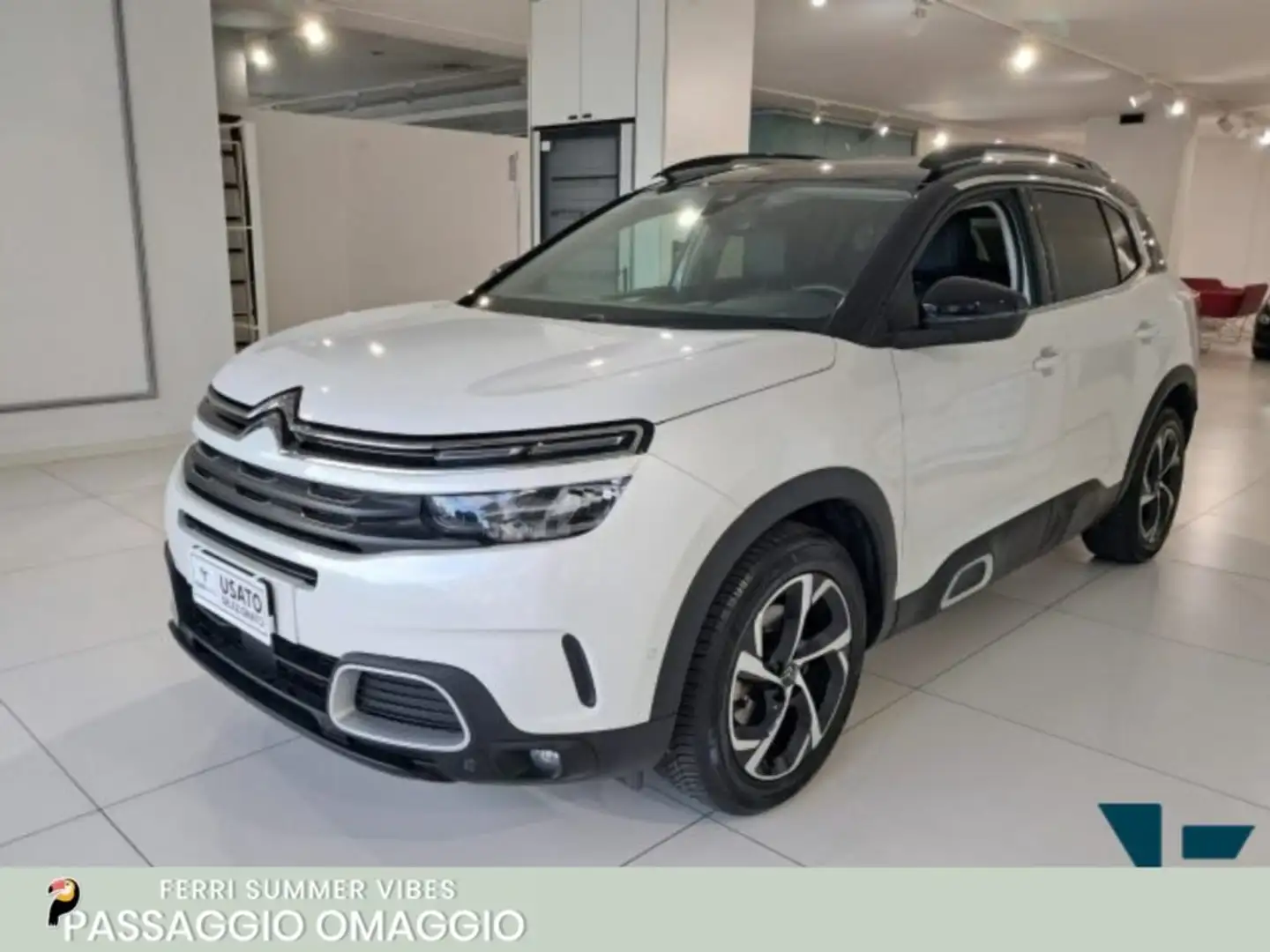 Citroen C5 Aircross PureTech 130 S&S Live Bianco - 1