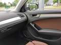 Audi A4 A4 Avant 3.0 TDI DPF quattro S tronicAmbition - thumbnail 12