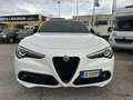 Alfa Romeo Stelvio 2.2 t Veloce Q4 210cv auto Bianco - thumbnail 3