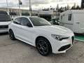 Alfa Romeo Stelvio 2.2 t Veloce Q4 210cv auto Bianco - thumbnail 2