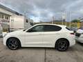 Alfa Romeo Stelvio 2.2 t Veloce Q4 210cv auto Bianco - thumbnail 6