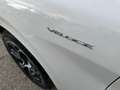 Alfa Romeo Stelvio 2.2 t Veloce Q4 210cv auto Bianco - thumbnail 11