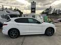 Alfa Romeo Stelvio 2.2 t Veloce Q4 210cv auto Bianco - thumbnail 5