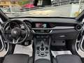 Alfa Romeo Stelvio 2.2 t Veloce Q4 210cv auto Bianco - thumbnail 13