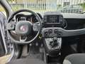 Fiat Panda 1.0 70pk Hybrid Life Grijs - thumbnail 4