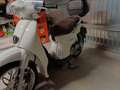Aprilia Scarabeo 50 classic Bianco - thumbnail 8