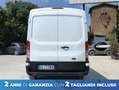 Ford Transit 330 2.0 tdci MHEV 130cv trend L2H2 E6.2 Bianco - thumbnail 4