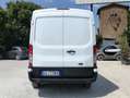 Ford Transit 330 2.0 tdci MHEV 130cv trend L2H2 E6.2 Wit - thumbnail 4