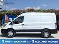 Ford Transit 330 2.0 tdci MHEV 130cv trend L2H2 E6.2 Bianco - thumbnail 3
