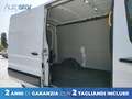 Ford Transit 330 2.0 tdci MHEV 130cv trend L2H2 E6.2 Bianco - thumbnail 8