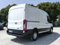 Ford Transit 330 2.0 tdci MHEV 130cv trend L2H2 E6.2 Wit - thumbnail 2