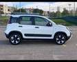 Fiat Panda III 2016 1.0 hybrid City Cross s&s 70cv Bianco - thumbnail 5