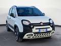 Fiat Panda III 2016 1.0 hybrid City Cross s&s 70cv Bianco - thumbnail 3