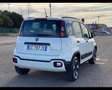 Fiat Panda III 2016 1.0 hybrid City Cross s&s 70cv Bianco - thumbnail 7
