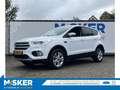 Ford Kuga 1.5 EcoB. Titanium 150pk/Inklapbare Trekhaak/Winte Blanc - thumbnail 1