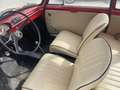 Autobianchi Sonstige bianchina due porte ottima in tutto doc e targhe originale Rot - thumbnail 9