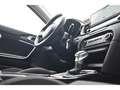 Kia Ceed / cee'd Sportswagon 1.6 CRDi Vision Navi ACC SHz Weiß - thumbnail 16