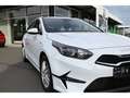 Kia Ceed / cee'd Sportswagon 1.6 CRDi Vision Navi ACC SHz Weiß - thumbnail 7
