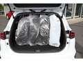 Kia Ceed / cee'd Sportswagon 1.6 CRDi Vision Navi ACC SHz Weiß - thumbnail 11
