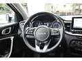 Kia Ceed / cee'd Sportswagon 1.6 CRDi Vision Navi ACC SHz Weiß - thumbnail 20