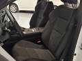 Renault Austral 1.2 full hybrid e-tech Techno 146kW Blanco - thumbnail 14