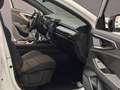 Renault Austral 1.2 full hybrid e-tech Techno 146kW Blanco - thumbnail 11
