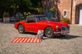 MG MGA 1600 Rojo - thumbnail 2