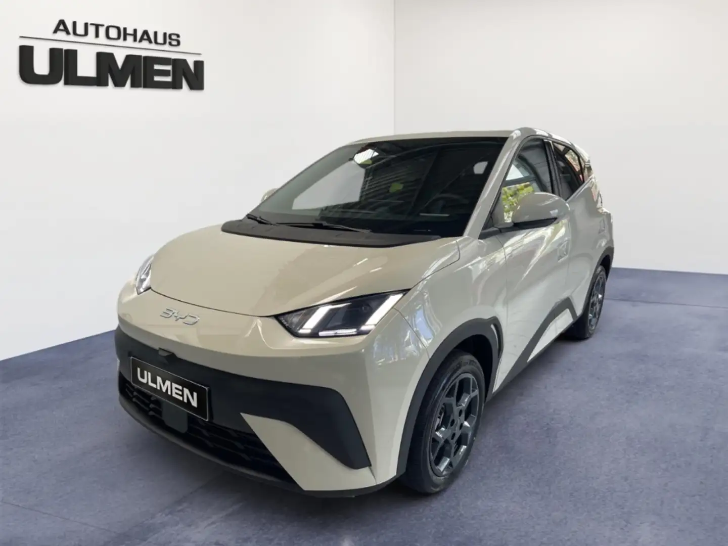 BYD Dolphin Comfort Leder Navi Sitzheizung DAB+ Soundsystem Белый - 2