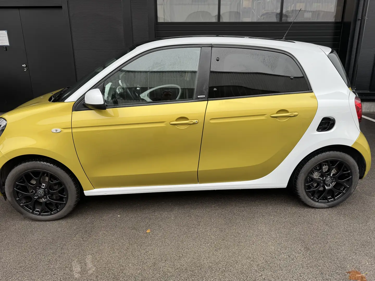 smart forFour Passion passion Gold - 1