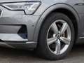 Audi e-tron 55 Q ADVANCED ASSISTENZ LM20 Grau - thumbnail 7