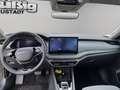 Skoda Octavia 2.0 TSI 150 kW 4x4 Tour AHZV Grau - thumbnail 10