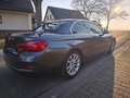 BMW 420 420d Cabrio Aut. Luxury Line Grau - thumbnail 25