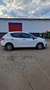 SEAT Ibiza 1.4 TDI DPF Best of - thumbnail 2