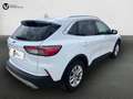 Ford Kuga 1.5 EcoBlue Titanium FWD 120 Blanco - thumbnail 6