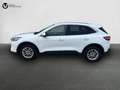 Ford Kuga 1.5 EcoBlue Titanium FWD 120 Blanco - thumbnail 2