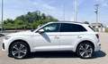 Audi Q5 40 TDI 204 CV quattro S tronic Edition One Bianco - thumbnail 3