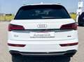 Audi Q5 40 TDI 204 CV quattro S tronic Edition One Bianco - thumbnail 5