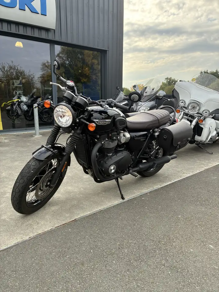 Triumph