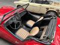 Triumph TR3 (TR3A) 4 cil. 1991cc Rood - thumbnail 8