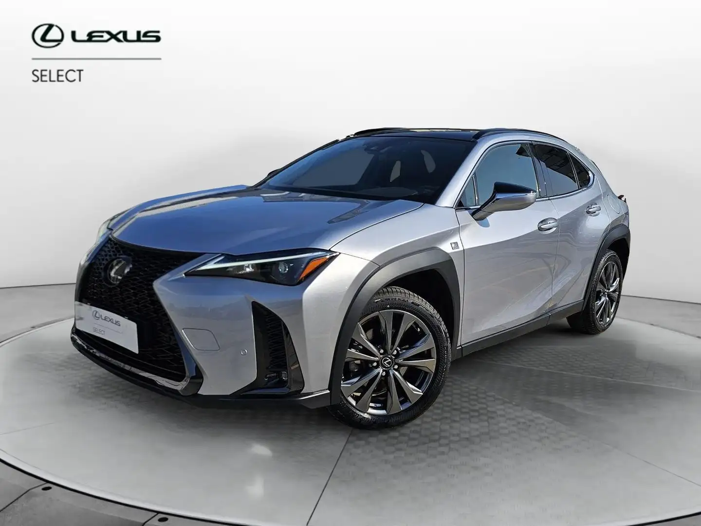 Lexus UX 250h Hybrid Design Argento - 1