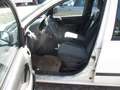 Fiat Panda 1.2 8V Classic Weiß - thumbnail 4
