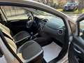 Fiat Punto Evo 5p 1.3 mjt Dynamic s&s 95cv - thumbnail 8