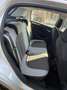 Fiat Punto Evo 5p 1.3 mjt Dynamic s&s 95cv - thumbnail 11