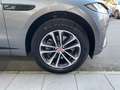 Jaguar F-Pace 2.0 D 204 CV AWD aut. R-Dynamic SE Rif. Lorenzo - thumbnail 17