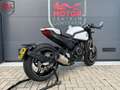 CFMOTO 700 CL-X SPORT Wit - thumbnail 10