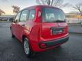 Fiat Panda Easy 1.2l Klima Rouge - thumbnail 4