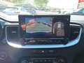 Kia 1.5 MHEV 103kW (140CV) GT Line DCT Синій - thumbnail 16