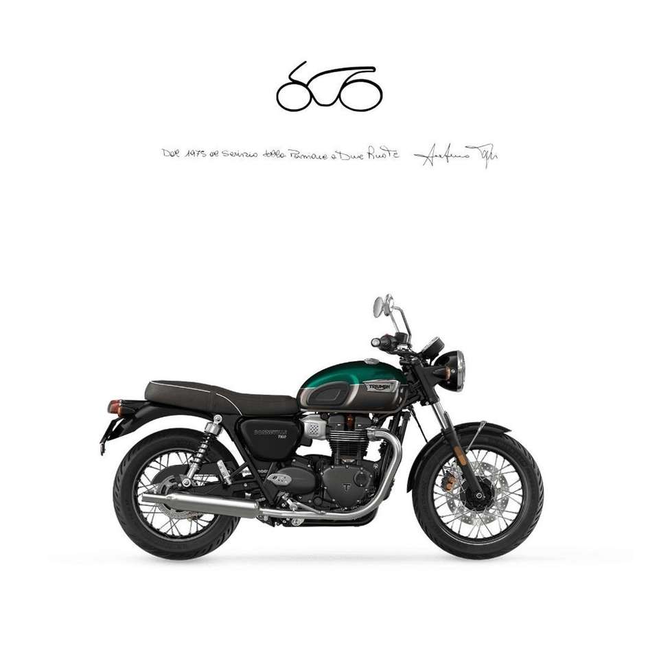 Triumph Bonneville T100 2024
