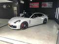 Porsche Panamera Panamera 4.0 - thumbnail 1