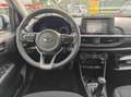 Kia Picanto 1.0 MPi ComfortPlusLine / CARPLAY / Eerste eigenaa Bleu - thumbnail 13